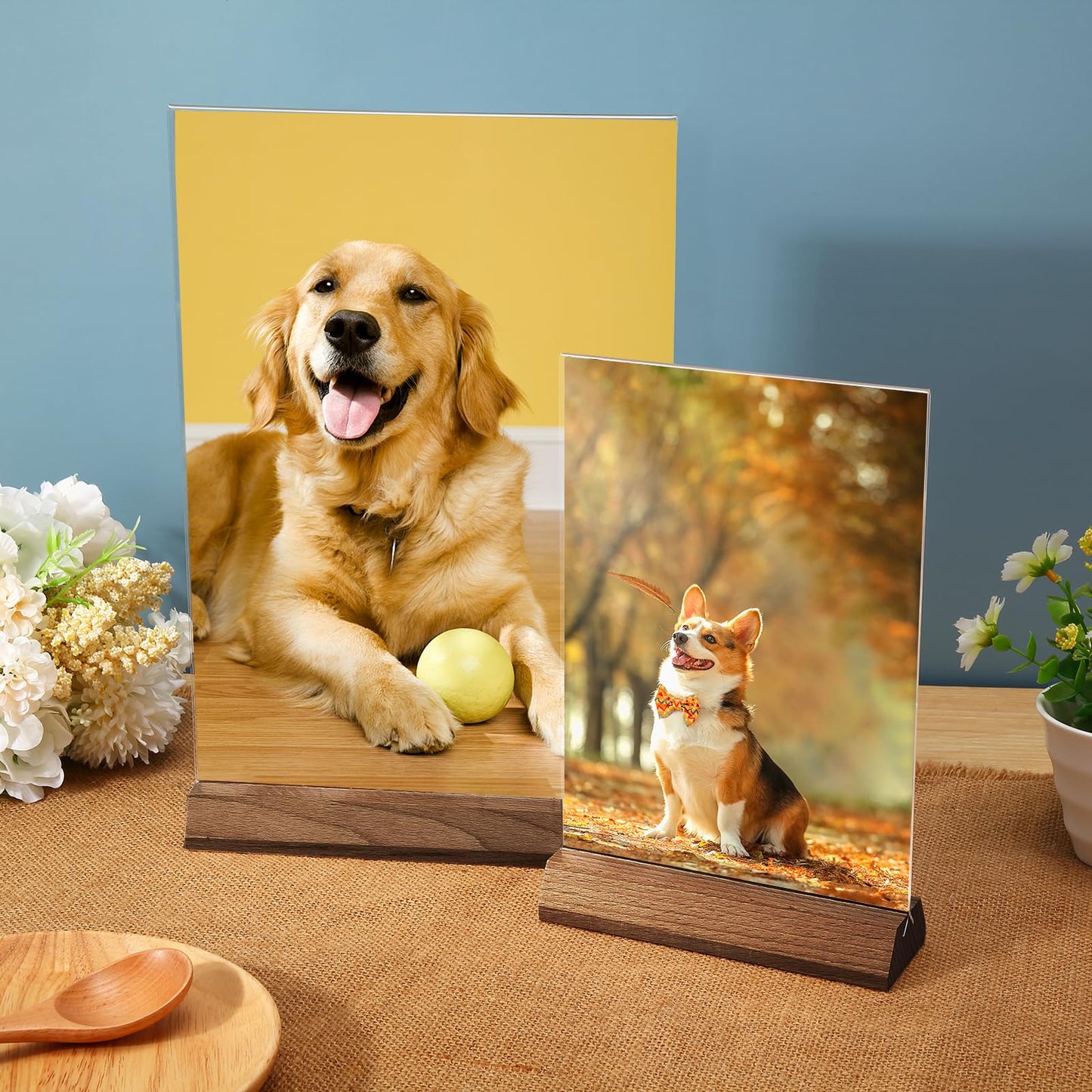 Srvnpioy 10 pieces A5 table stands T stand for photos, menu cards, A5 table-top advertising stand menu card holder A5 made of clear acrylic for restaurant, store, school, cafe shop, hotel.