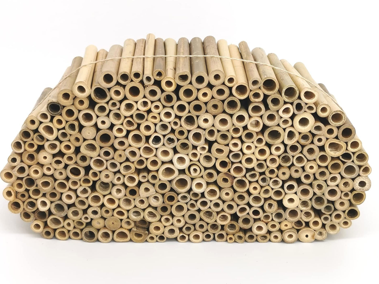 action green MEGAPACK Bamboo tubes Insect hotel Craft supplies approx. 300 nesting tubes 10cm + 300g clay powder & more! for wild bees & solitary wasps