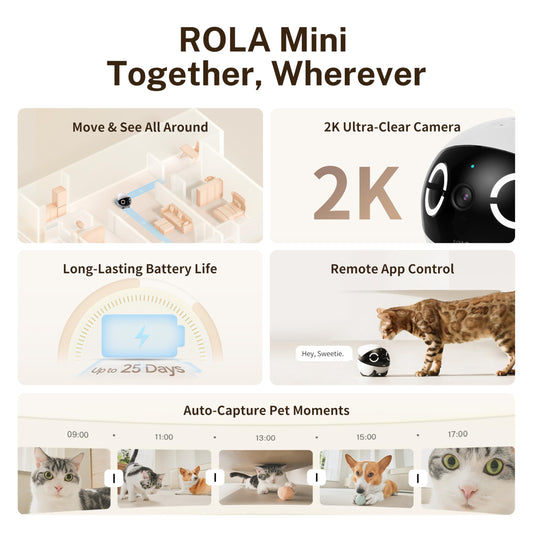 Enabot EBO ROLA Mini 2K Pet Camera Robot: Portable indoor camera with battery and phone app, one-touch call, 2-way audio, IR night vision, motion detection, video recording.