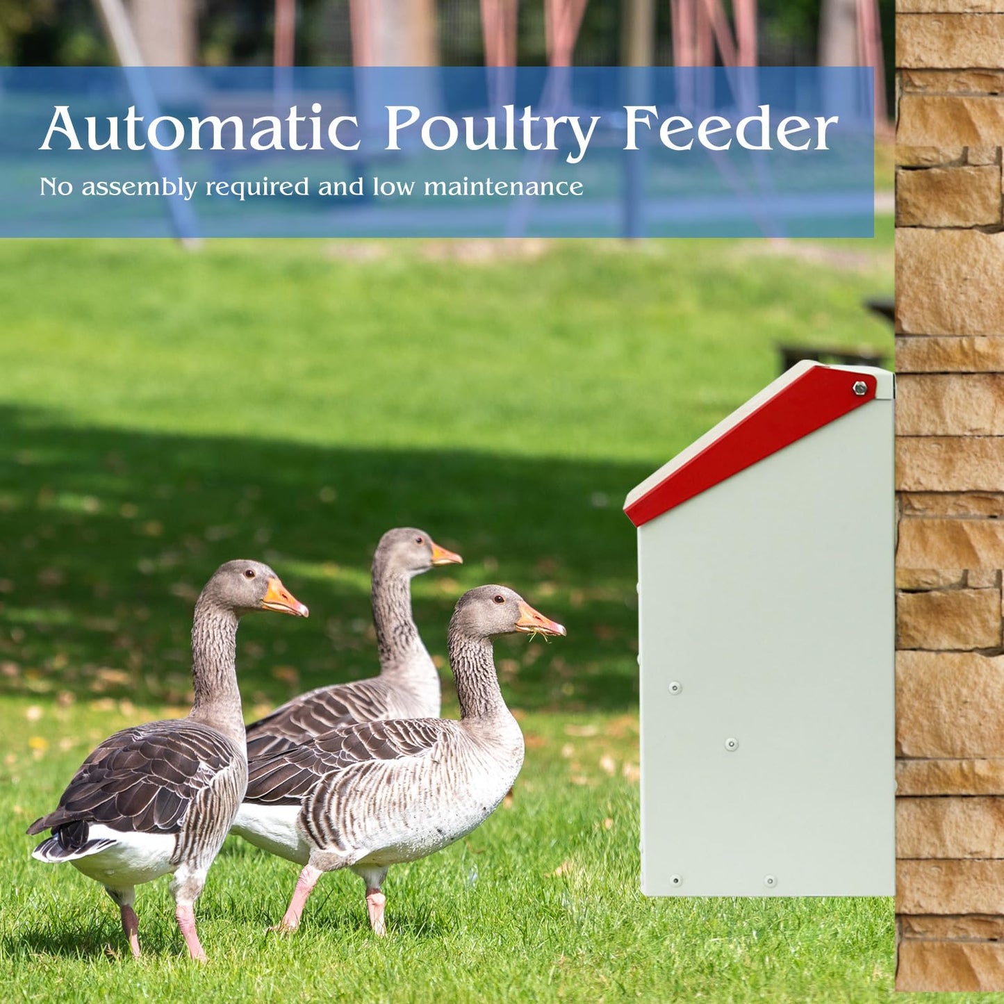 4.5 Kg Automatic Chicken Feeder Small metal feeder with lid Wall-mounted rat-proof chicken feeder for chicks, turkeys, goslings, ducklings, quails.