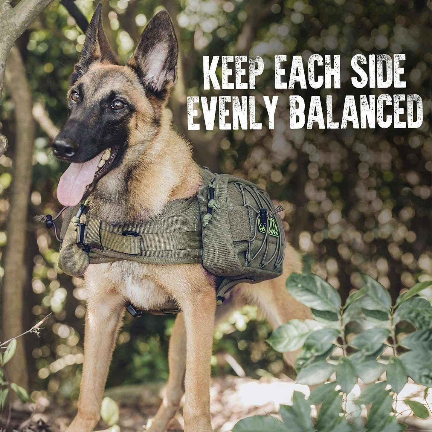 OneTigris Mammoth Dog Backpack 2.0 Version Rip-stop Camping Hiking Dog Backpack for M/L Size Dogs (M, Ranger Green)