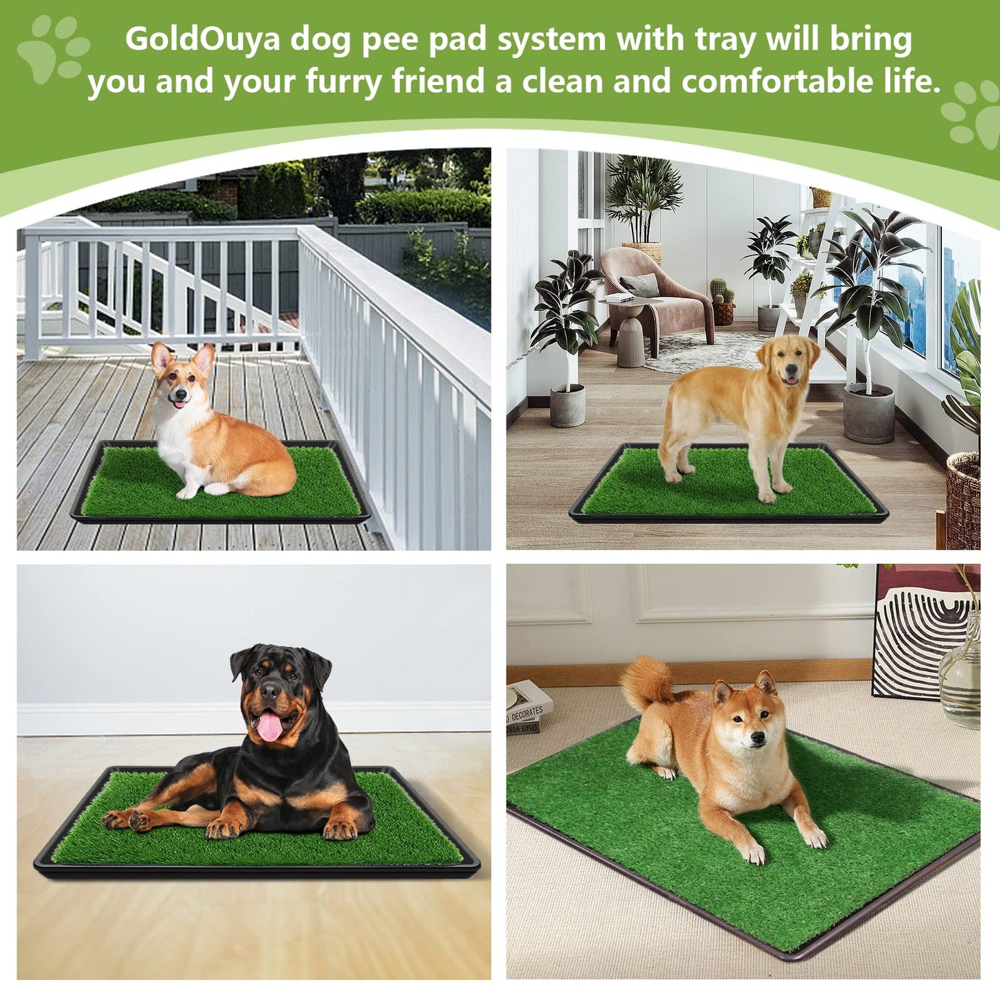 GoldOuya 60 x 90 cm dog grass pad with tray for indoor and outdoor use, great for large dog potty training is a complete potty system. Grass potty pads for dogs with tray are reusable.