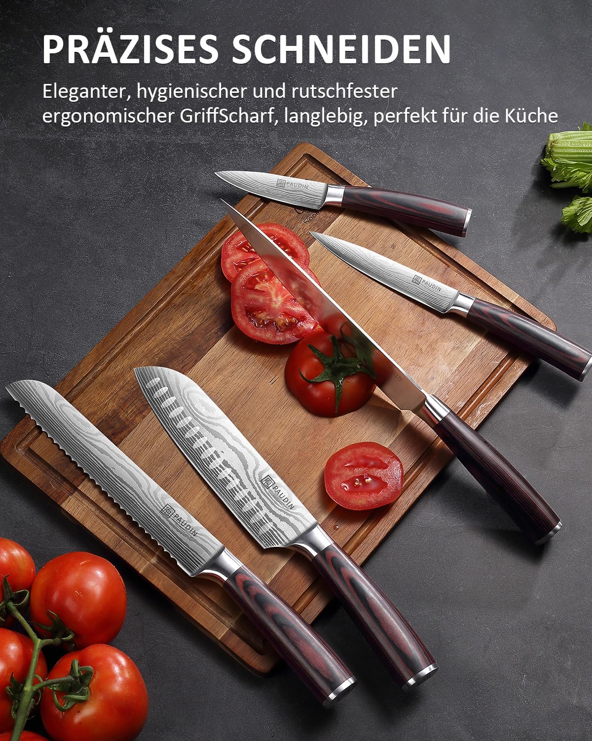 PAUDIN Kitchen Knife Set, 5-piece kitchen knife set made of high-quality carbon stainless steel, ultra-sharp knife set with chef's knife, cleaver, and utility knife.