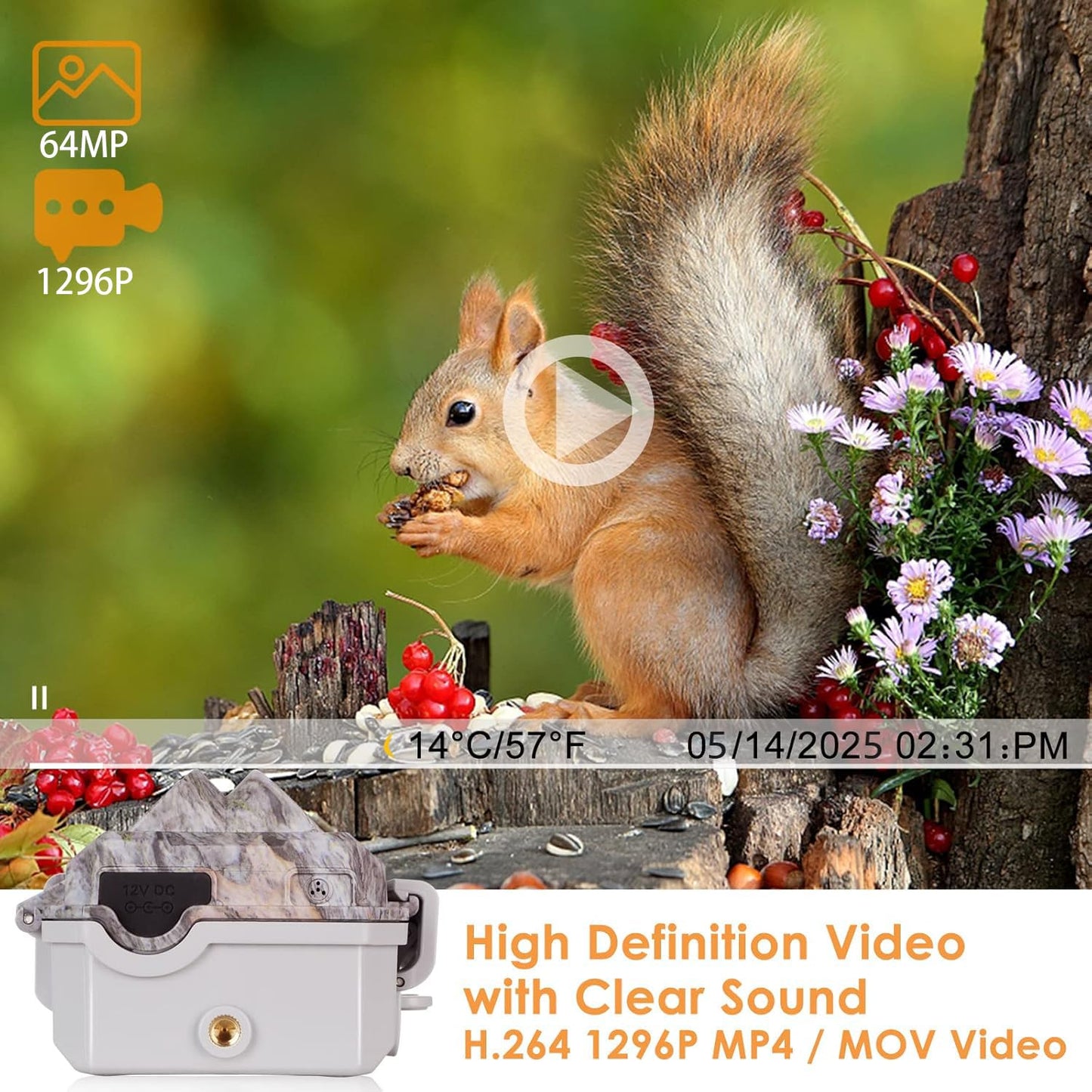 BlazeVideo wildlife camera with app, night vision photo trap 64MP 1296P Connect through app Bluetooth antenna with night vision motion detector