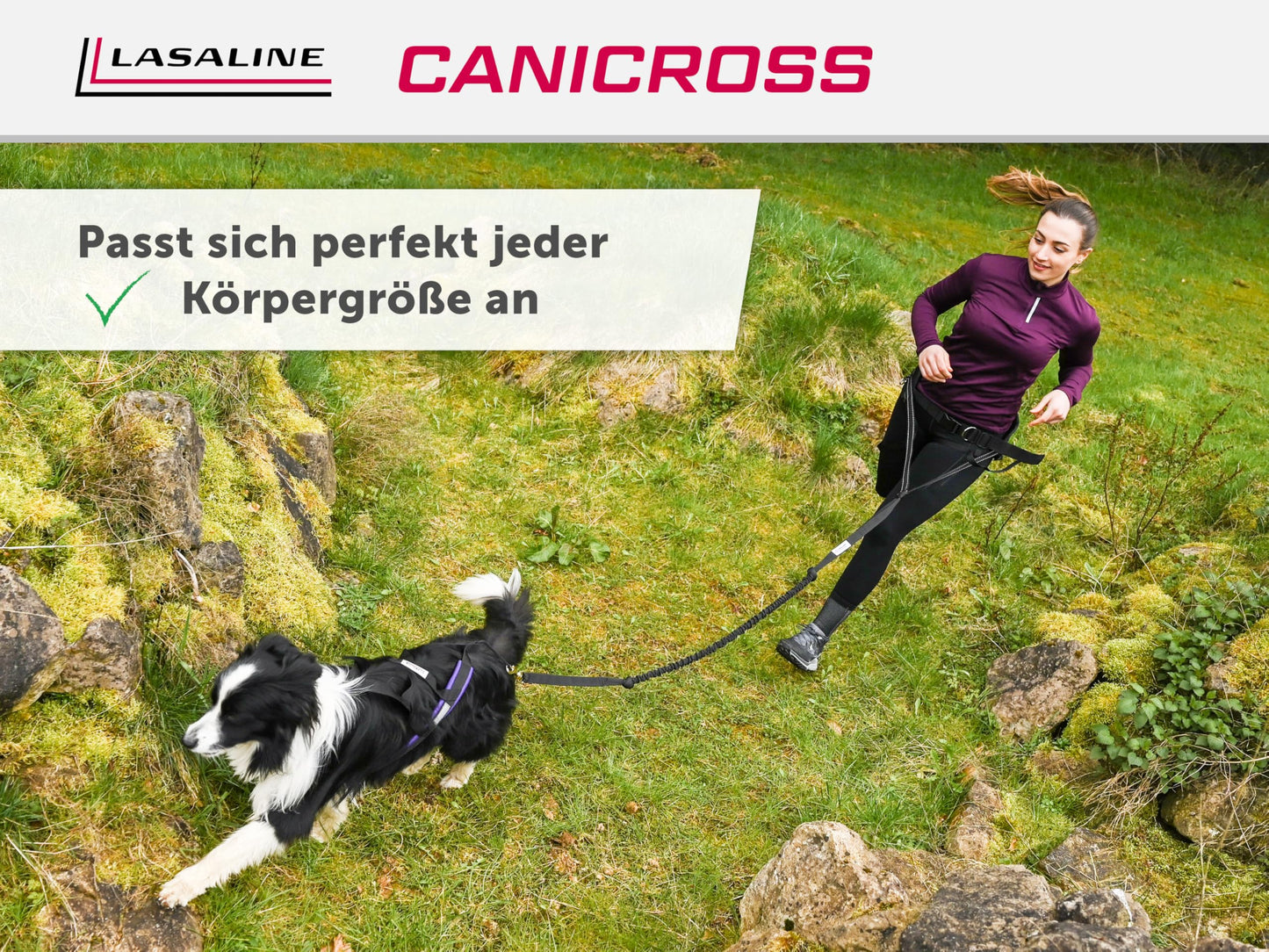 LASALINE Dog Pulling Harness X Back for Canicross, Dog Sports, Dogscooter, Bikejoring, Sledding in Black.