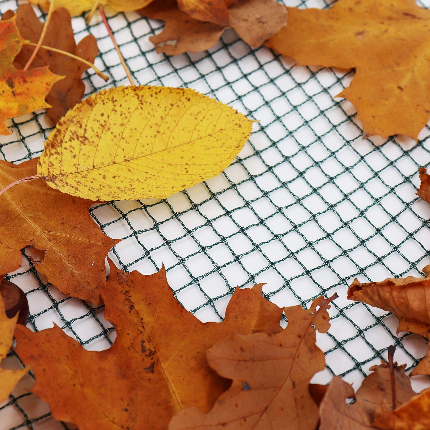 Aquagart® Pond Net, 10m x 10m, dark green, extra fine mesh: mesh size 12mm x 12mm. Leaf net, pond cover net, bird deterrent net, sturdy row net.