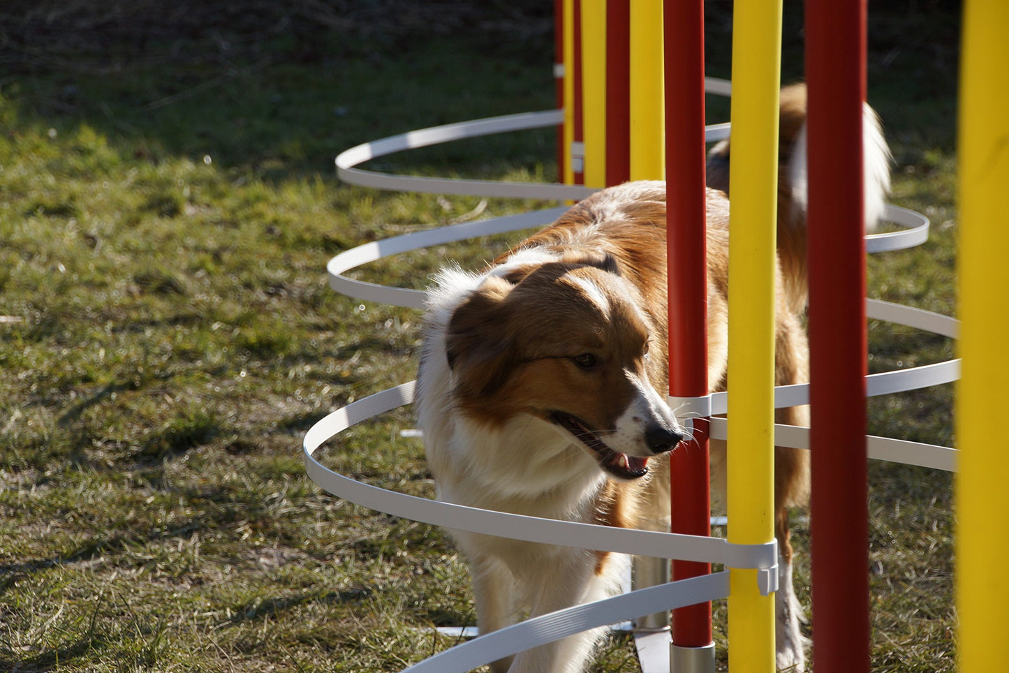 Agility slalom arches/training arches for slalom poles - diameter 24mm-29mm, without poles!
