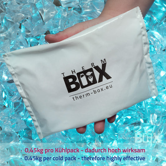 THERM-BOX Styrofoam box 61W with 5 cooling elements for cooler 61.5L Interior: 53x33x34cm Transport box Thermal container Reusable