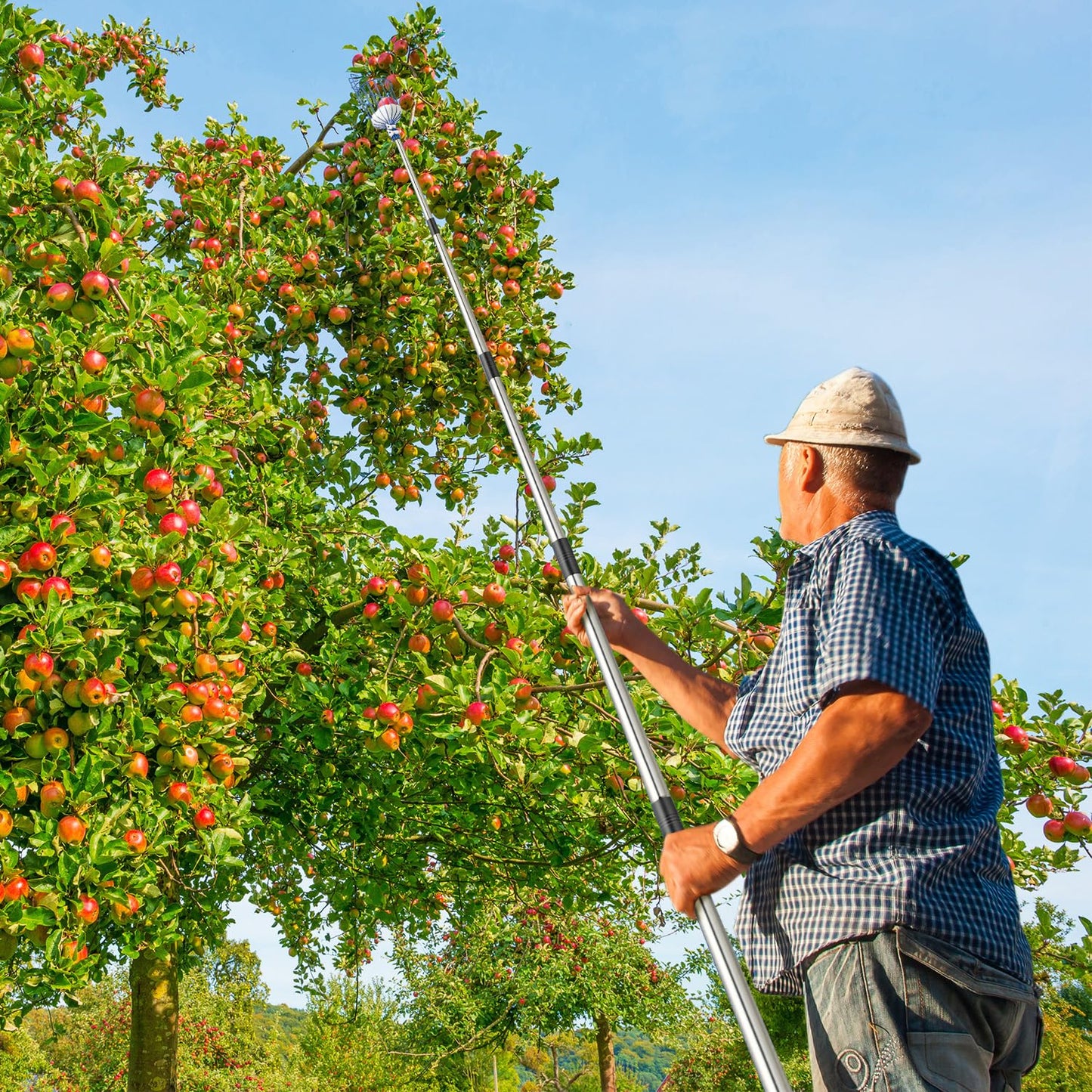 MaidMAX fruit picker with telescopic stainless steel handle 4 meters, apple picker with joint and foam pad, gripper with basket for fruit apple orange, light stable and space-saving.