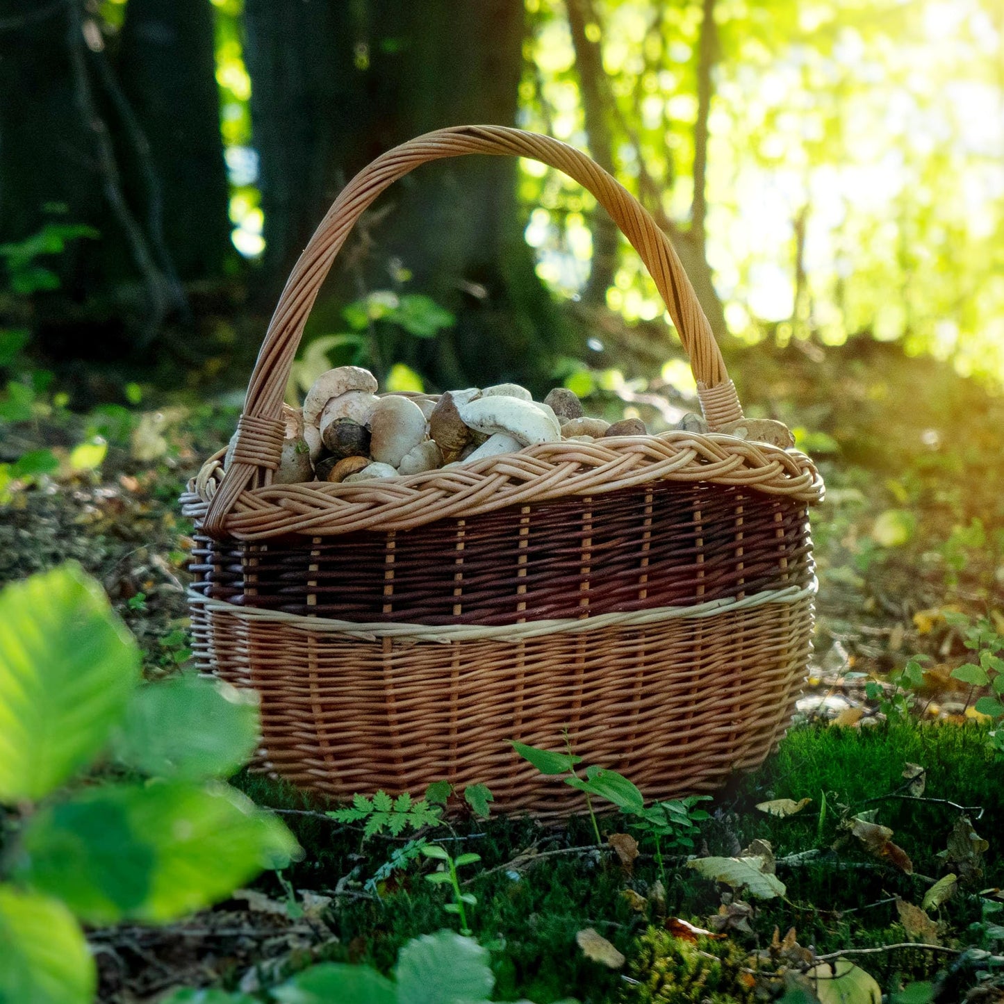 KADAX wicker basket for mushrooms, oval basket for shopping, sturdy picnic basket with handle, bottle basket, basket for the garden, carry basket (mix, 43x30x43cm)