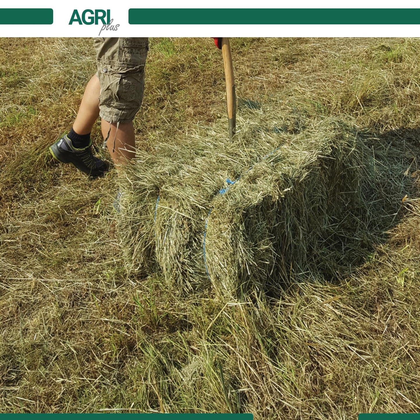 AGRI plus baling twine in blue I 2 pieces of 5 kg each I 600 m/kg I High-quality twine for round balers I Durable agricultural twine made of PP I Weather-resistant, sturdy & tear-resistant