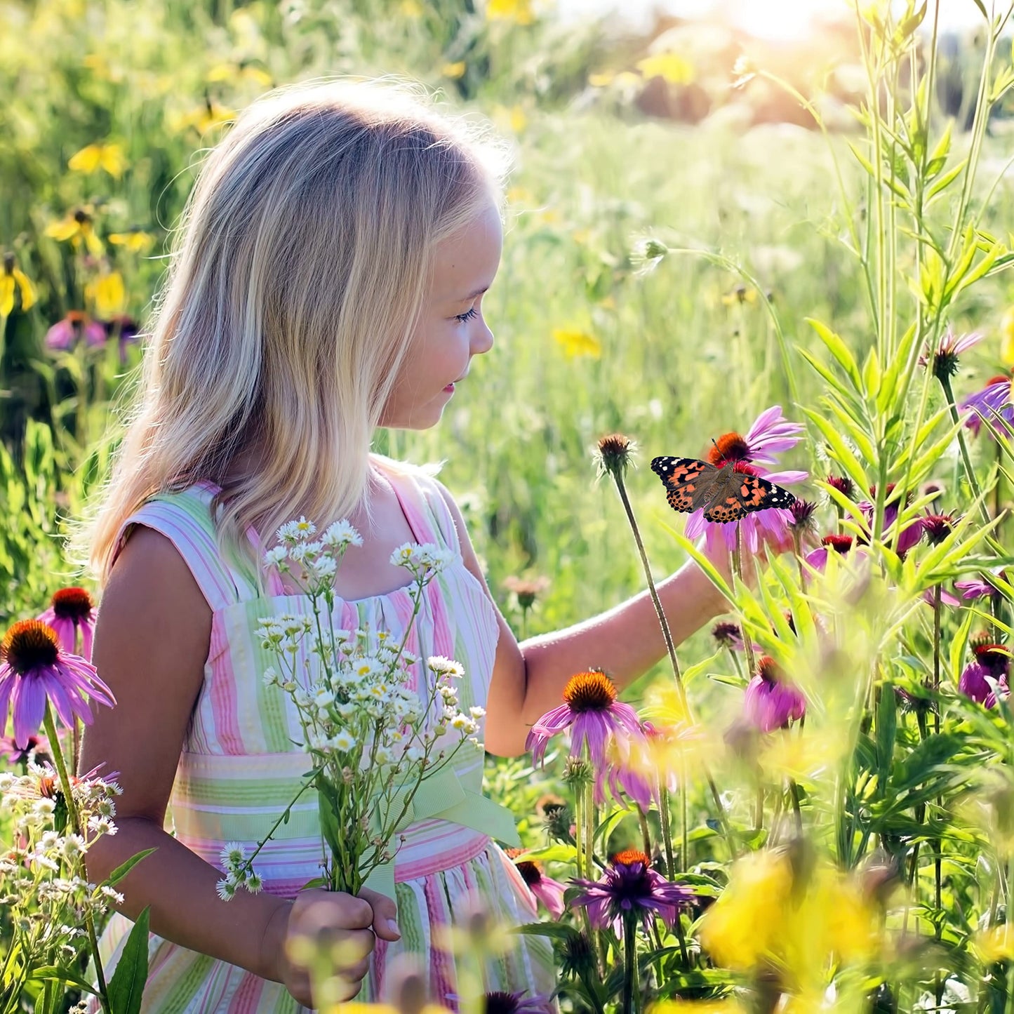 Butterfly breeding kit for kids | Approx. 14 caterpillars + large habitat (40x40x60 cm) | FREE E-Book + educational materials | Breed caterpillars at home from age 3 | Raise native Painted Lady butterflies