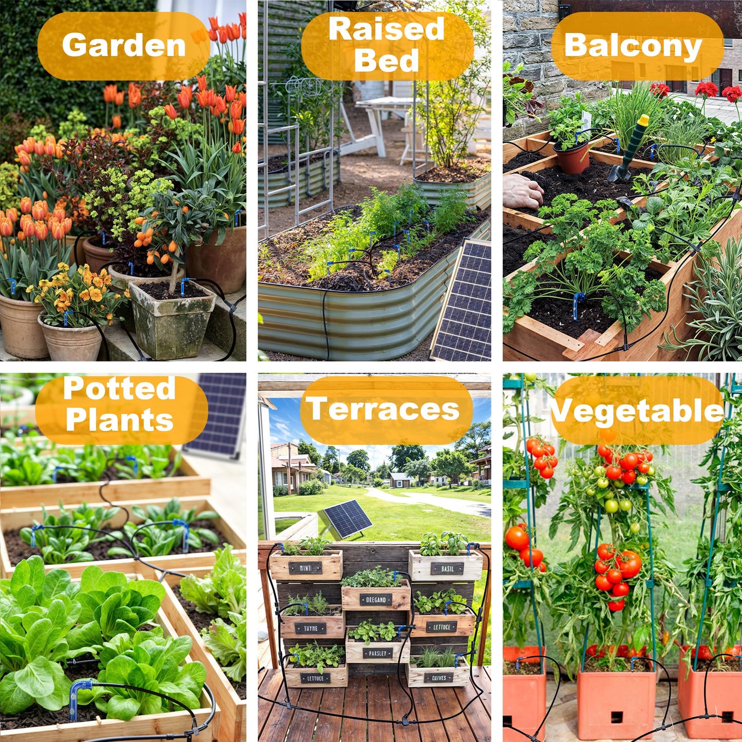 RISINGUP Solar Irrigation System for 30 pots, Plant Watering Devices Solar-powered automatic DIY irrigation system, garden irrigation system with 12 time modes for outdoor gardens.