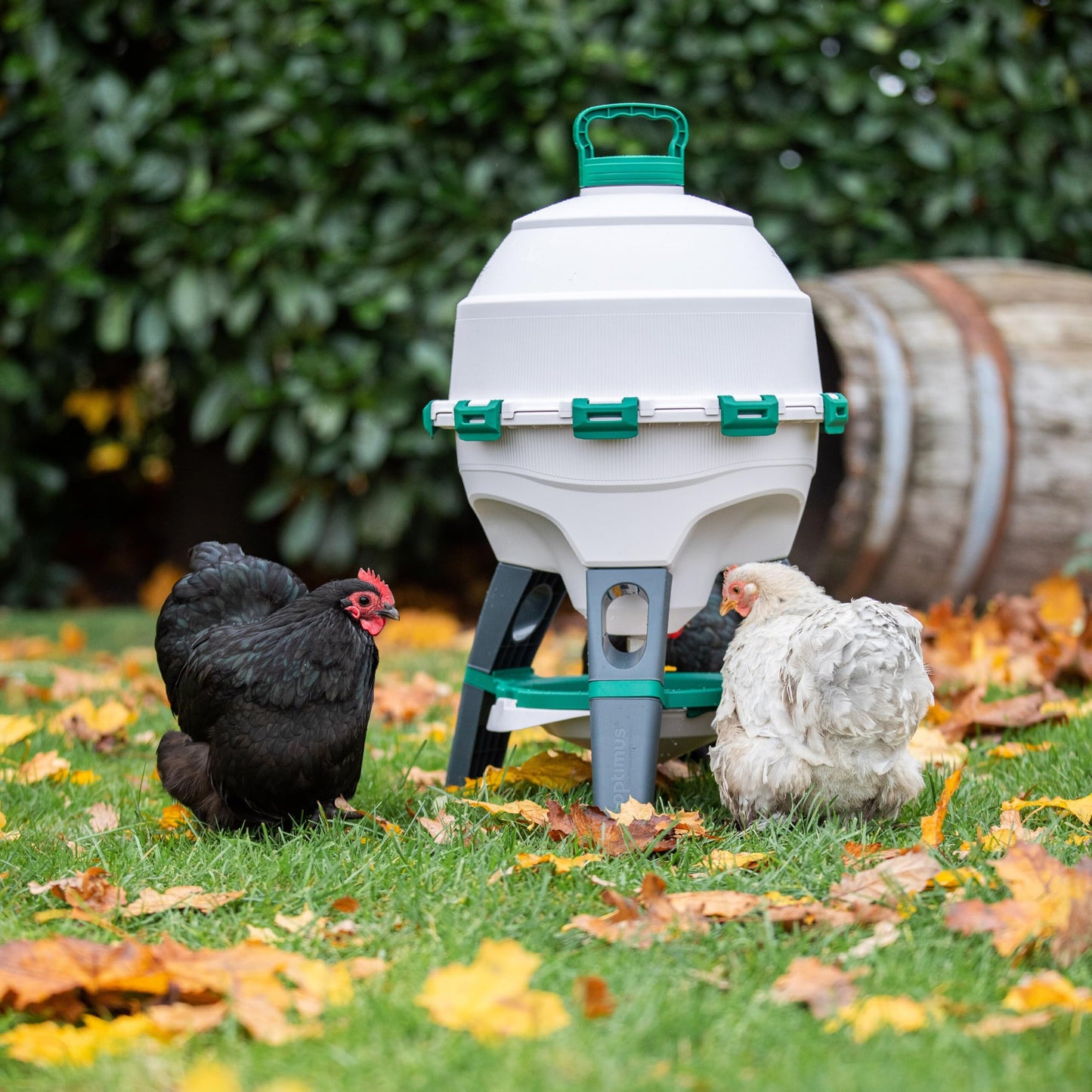 Chicken drinker Optimus 25 L for up to 25 chickens, including spare drinking bowl, Two-part water tank - Poultry drinker - Automatic chicken drinker - Chicken water dispenser - Drinker for chickens - Chicken accessories