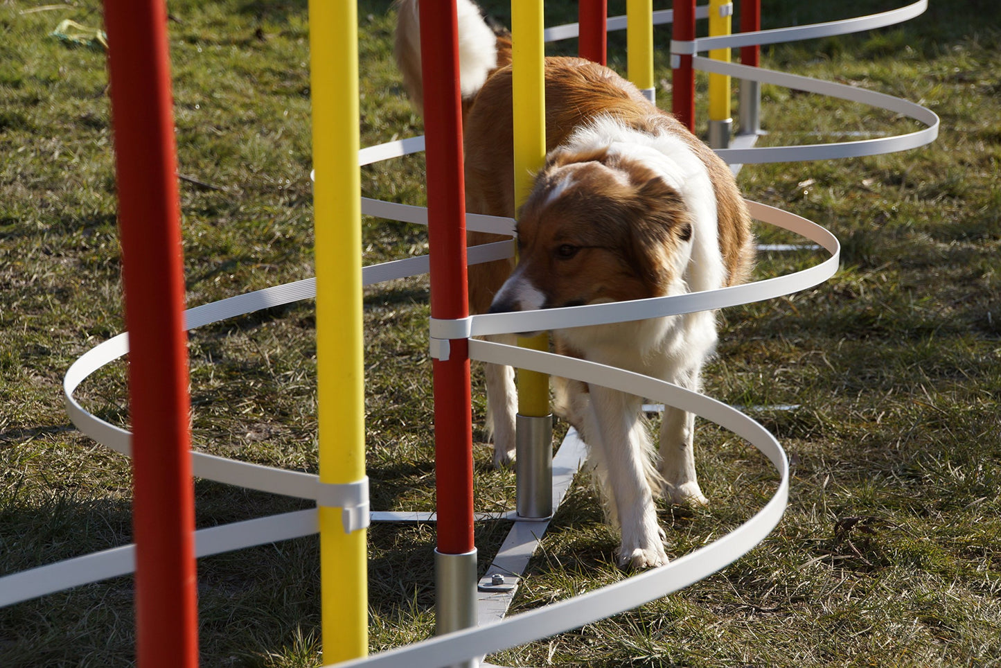 Agility slalom arches/training arches for slalom poles - diameter 24mm-29mm, without poles!