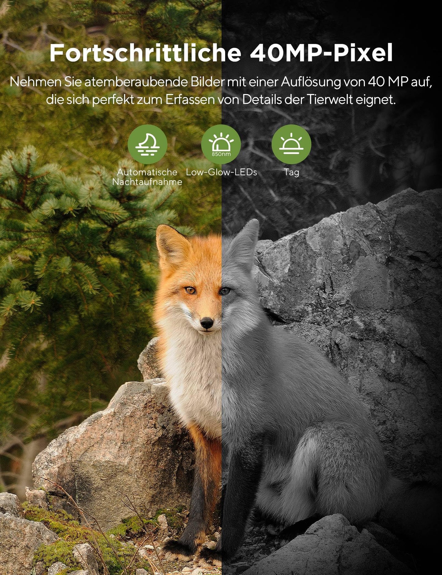 CEYOMUR Trail Camera 40MP 4K 30fps, Trail Camera Cell Phone Transfer with Motion Sensor Night Vision, Trail Camera WiFi with 120° Detection Angle 0.2s Quick Trigger IP66 Waterproof for Wildlife Monitoring