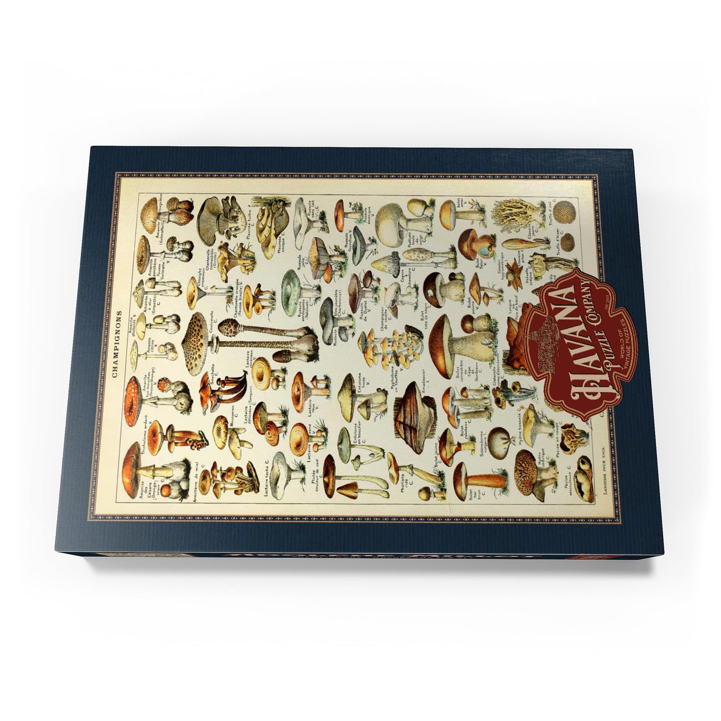 MyPuzzle Mushrooms - Vintage Art Poster, Adolphe Millot - Premium 1000 Piece Puzzle - MyPuzzle Special Collection by Havana Puzzle Company.
