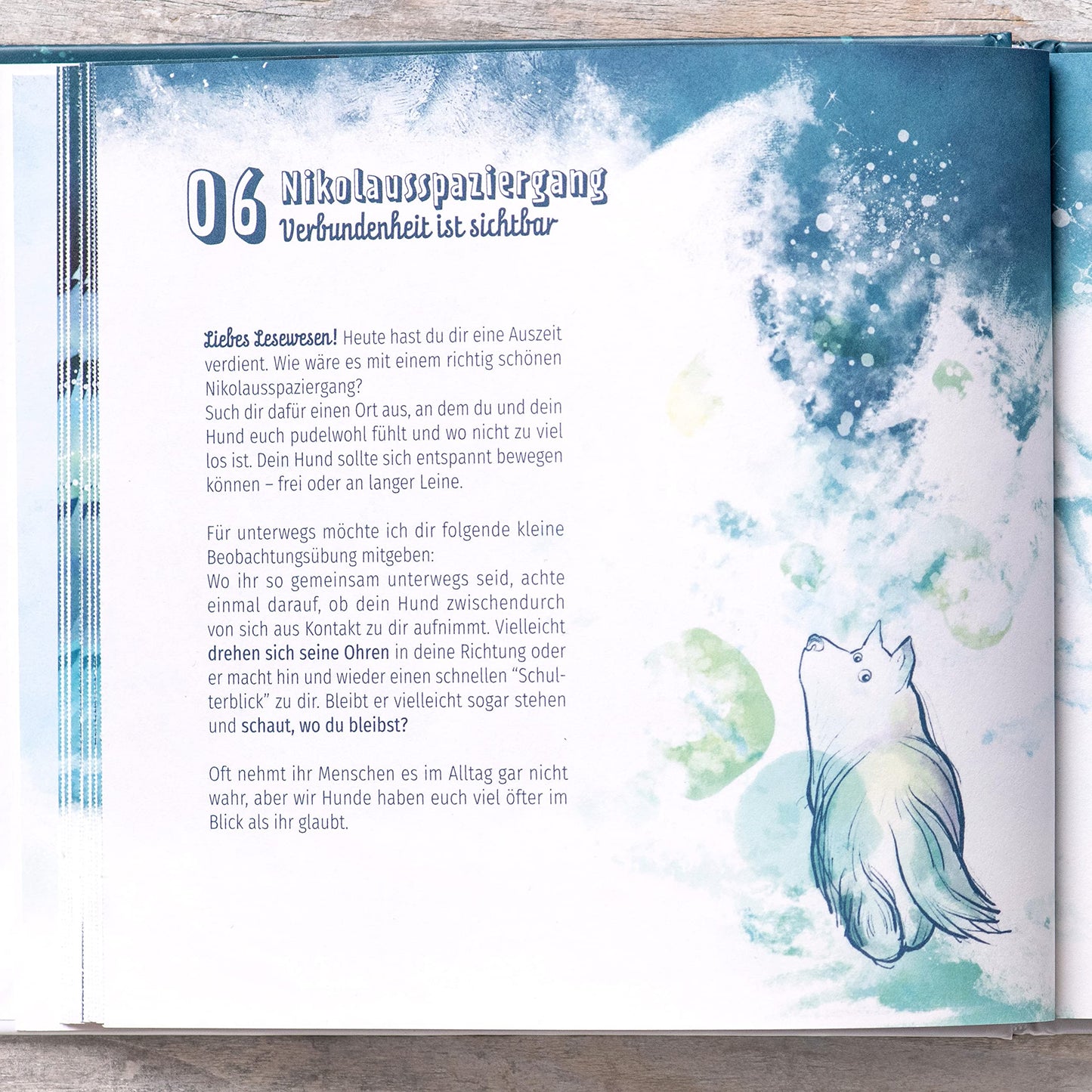 Schnauzbert's Winter Journey - Advent calendar for dog owners - experience box with book, organic essential oil, game board and more accessories, for mindfulness, relaxation and positive dog training.