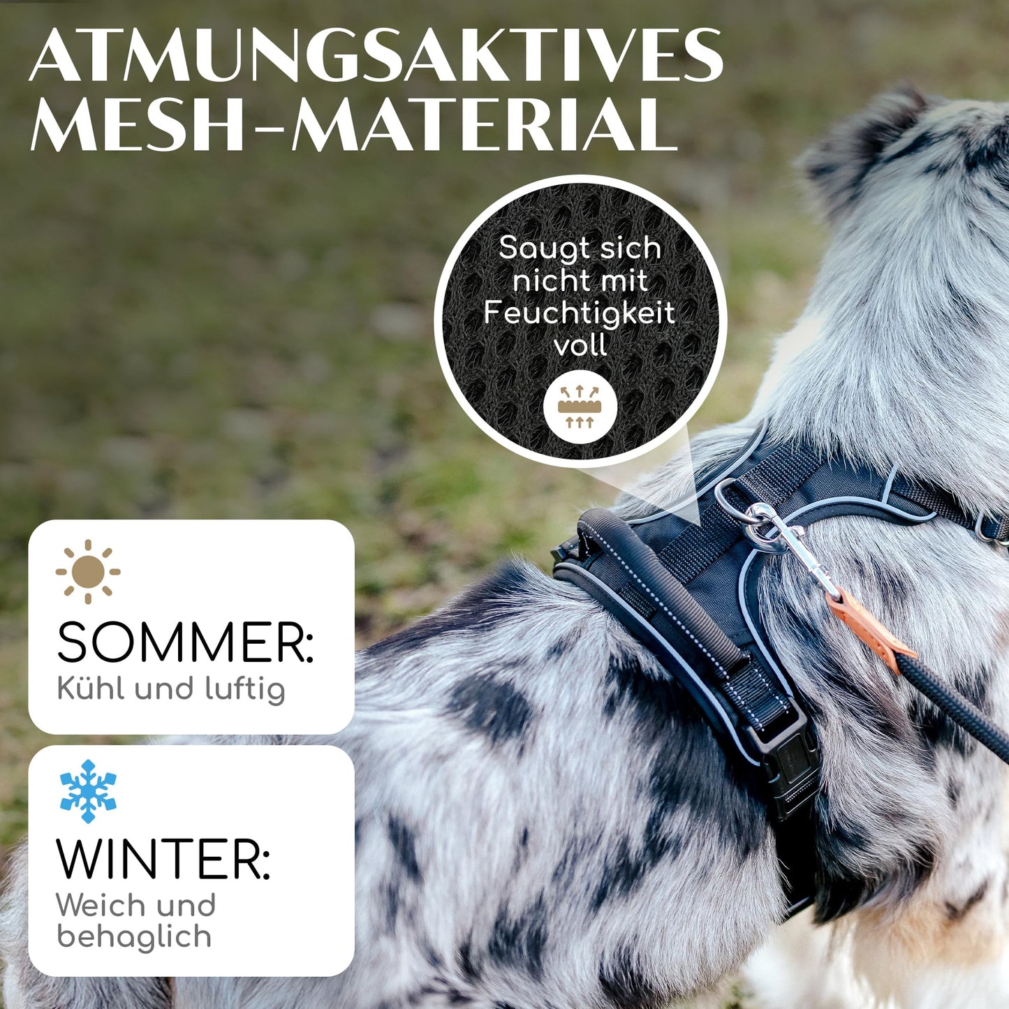 Joyful Animal Dog Harness with Handle, Breathable Padded - Secure Fit & Maximum Safety - No-Pull Dog Harness for Small, Medium & Large Dogs - Dog Harness (Black, L)
