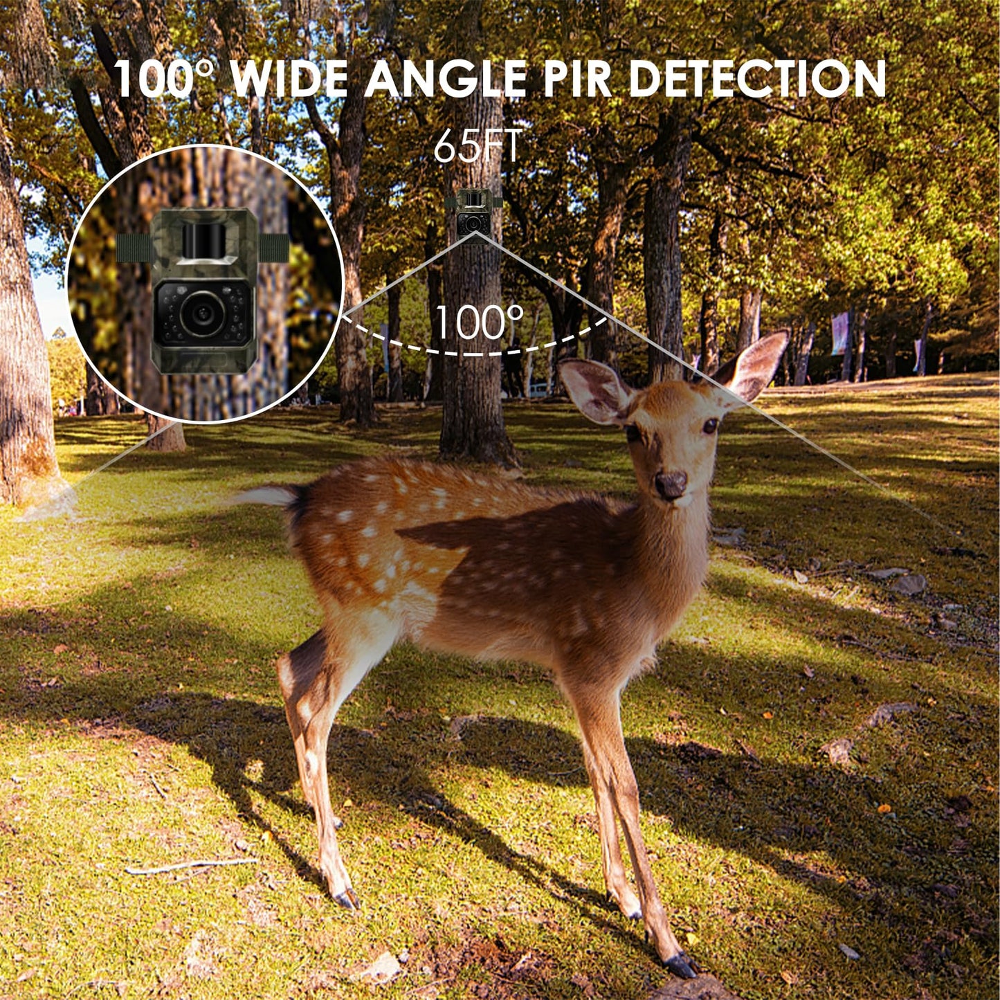 MAXDONE wildlife camera with motion sensor night vision Bluetooth - WiFi with mobile transfer app Rechargeable 2000mAh battery, low glow 48MP screenless night vision device 0.1s hunting camera