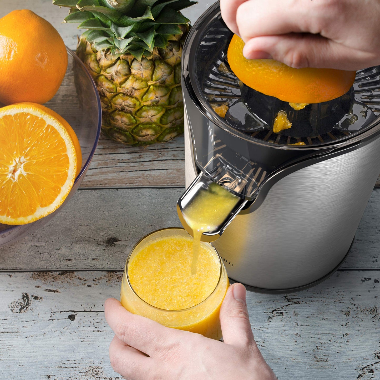 Arendo - Electric stainless steel lemon squeezer - Juicer, orange squeezer, lime squeezer - Start-stop automatic function - large and small juicing cones - strainer insert - BPA free