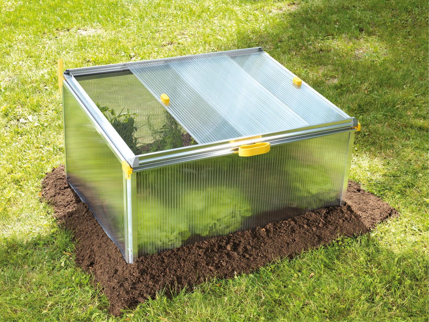 Jewel cold frame Bio Star Protect 1000 (abundant harvests, ideal microclimate, protected, dimensions: 100 x 75 x 50 cm) 20151
