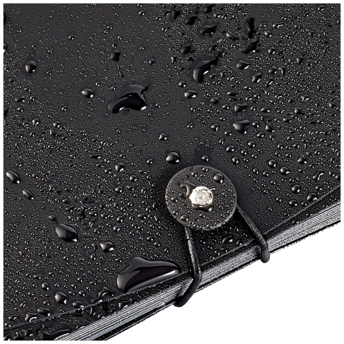 Amazon Basics A4 Document Folder, Black & OFFICE PRODUCTS Brochure Sleeves /100 pieces/Din A4
