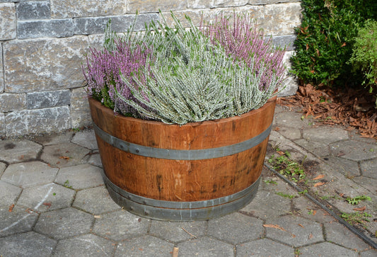 Wooden barrel used as a plant pot, wine barrel halved and oiled (70 cm diameter) (without accessories)