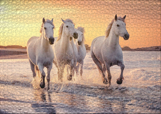 Ulmer Puzzle Forge - Camargue Horse Puzzle - classic 1000 piece animal puzzle featuring the white horse in the wild in Camargue, Provence, Southern France.