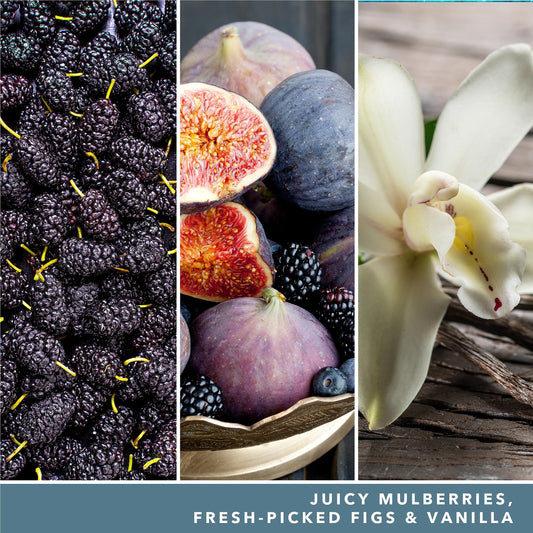 Yankee Candle large jar candle | Mulberry & Fig Delight scent | Long-lasting burn time up to 150 hours | Perfect for Mother's Day | Gifts for women