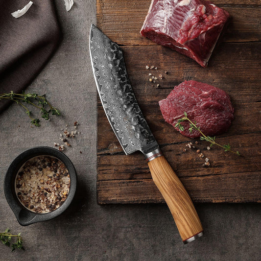 Wakoli Olive HS Damascus Knife Grill Block Knife 20 cm Blade - 67 layers of Damascus steel with hammer finish, VG10 core, olive wood handle - sharp kitchen & BBQ knife for meat, fish in elegant wooden box.