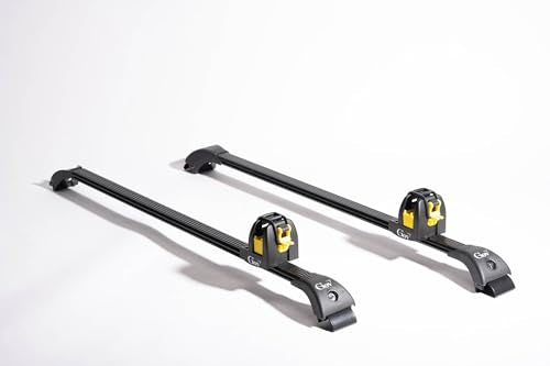 1610 Universal Ski Mount