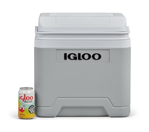IGLOO IE24 DC electric cooler, 24 liters, mini fridge 12V for car, boat, and leisure, gray
