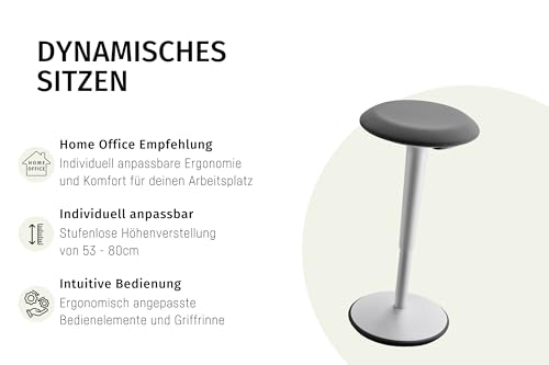 Sedus se:fit, ergonomic stool, standing stool, perching seat, standing aid, red, black, plastic, rubber base, adjustable height 53-80 cm.