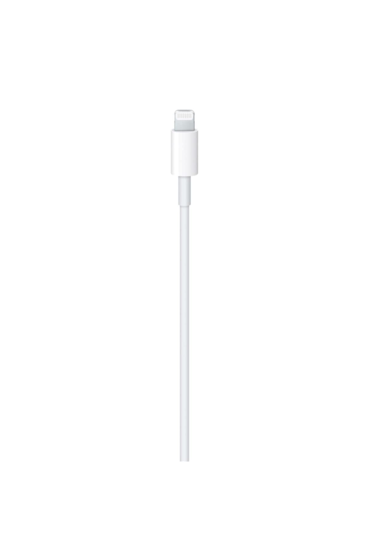 Apple USB-C to Lightning Cable (2 m)