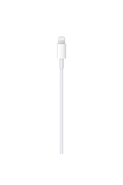 Apple USB-C to Lightning Cable (2 m)
