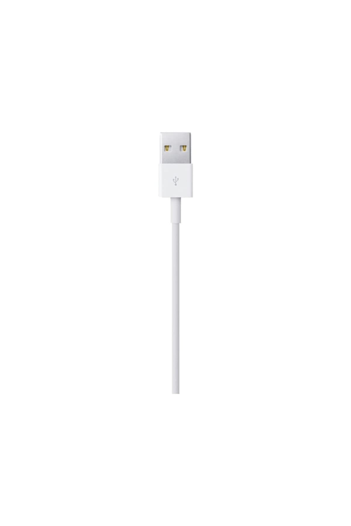 Apple Lightning to USB Cable (0.5 m)