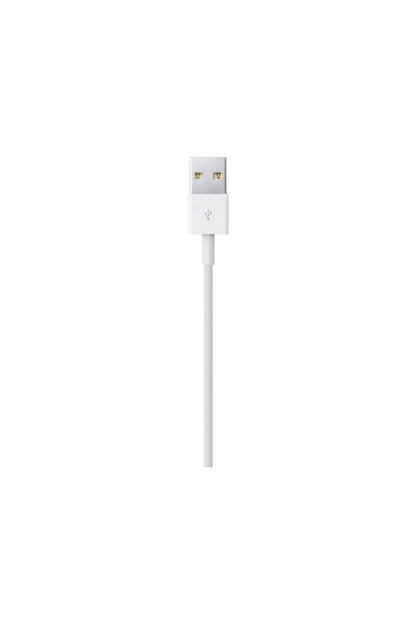 Apple Lightning to USB Cable (0.5 m)
