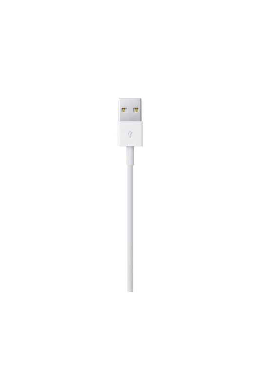 Apple Lightning to USB Cable (0.5 m)