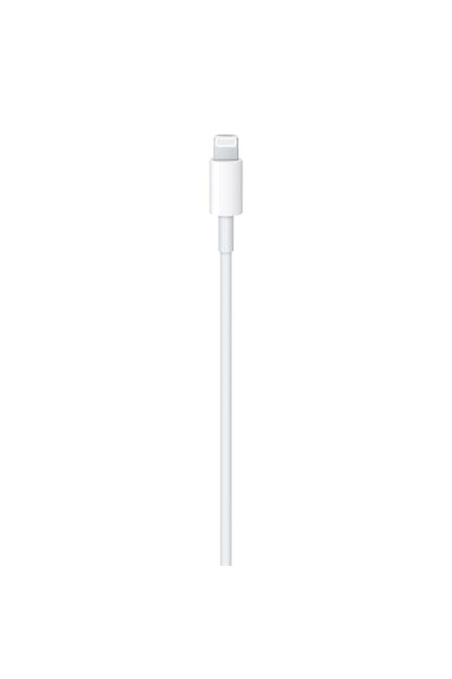 Apple USB-C to Lightning Cable (1 m)