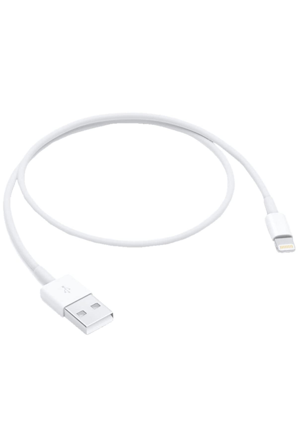 Apple Lightning to USB Cable (0.5 m)