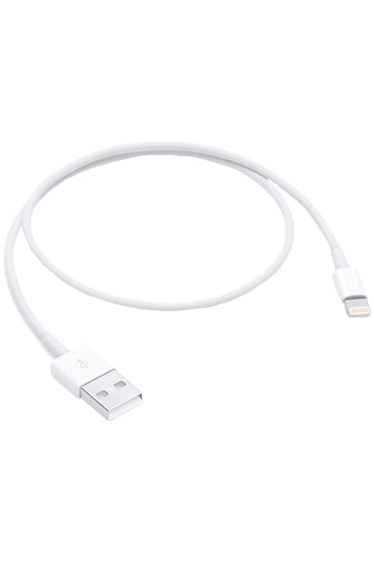 Apple Lightning to USB Cable (0.5 m)