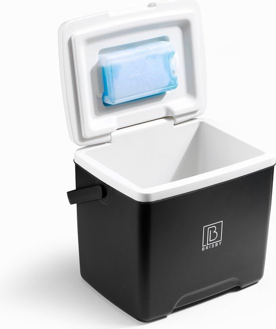 Brisby Cooler Box 13 liters - keeps warm for 18 hours - stays cool for 40 hours - includes 2 large cooling elements 450 ML - Cooler bag for work, camping, grilling, or vacation - BPA-free