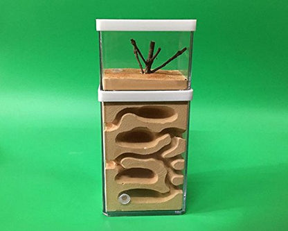 aleawol Natural Ant Farm Ant Nest Formicarium made of plaster Transparent Ant House Ant Breeding Box Ant Terrarium House Ant Farm Ant Nest Habitat