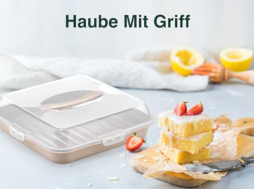 Cake transport box, square, cake transport box with lid, cover, and handle. Cake plate, storage box, cake container, pie container, serving plate, party butler.