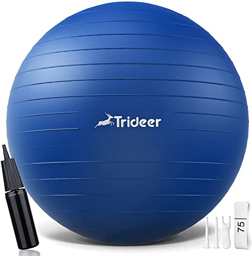 Trideer Thick Exercise Ball, Anti-Burst Pilates Ball, 45-85 cm yoga ball for balance, yoga as fitness equipment and balance chair in gym-home-office (L (58-65cm), ocean blue)
