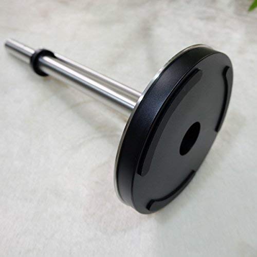 ZACK 20707 Lingo kitchen paper holder with roll stop, stainless steel matt