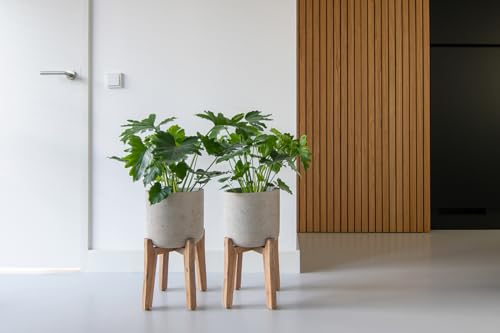 Finestgreen Charlie feet high | Handcrafted plant container on wooden legs (XL Ø:40 H:67 cm, Grey) | Pottery Pots