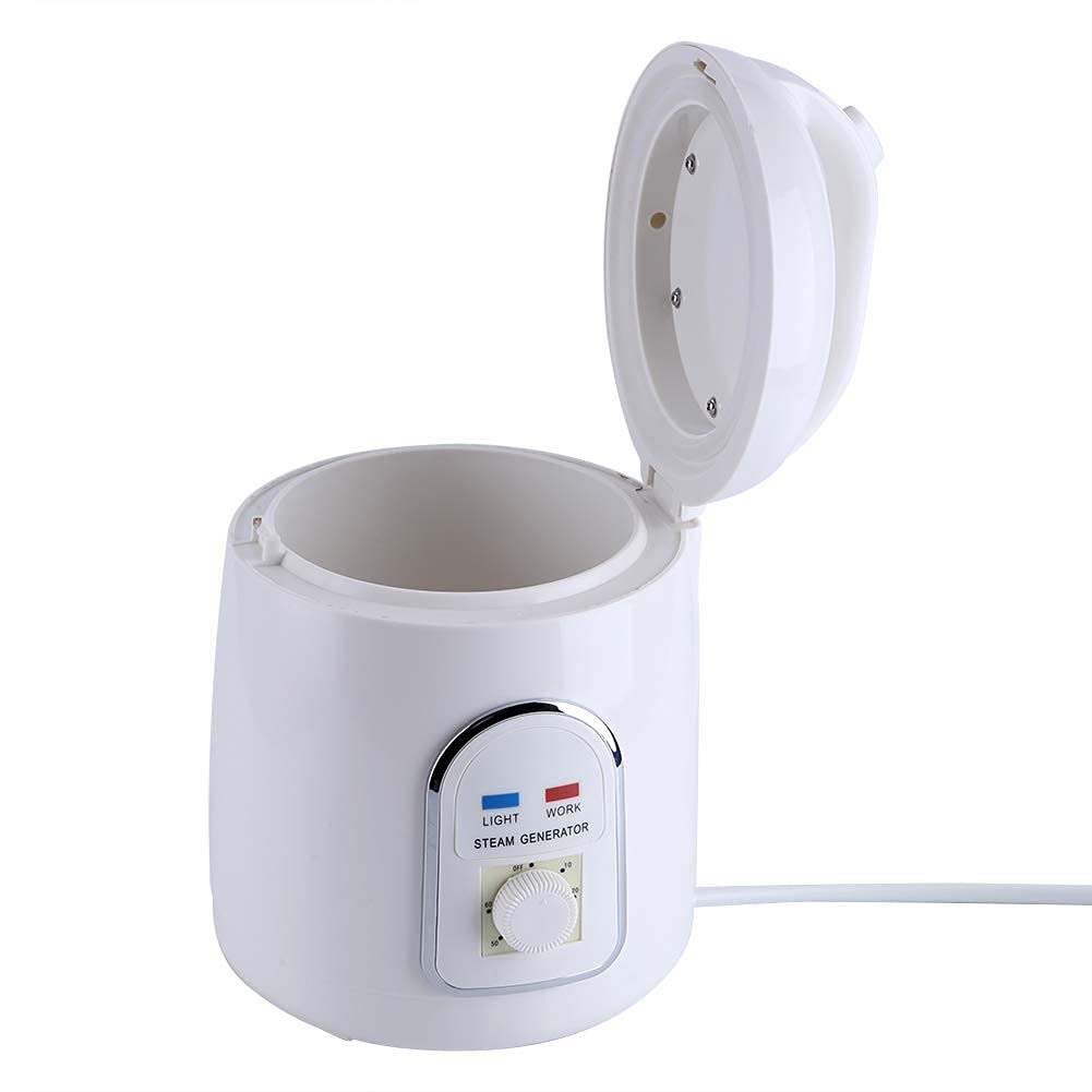 Sauna steamer steam generator steam sauna steam machine skin care 220V 1.8L home portable (220V)