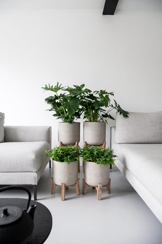 Finestgreen Charlie feet high | Handcrafted plant container on wooden legs (XL Ø:40 H:67 cm, Grey) | Pottery Pots